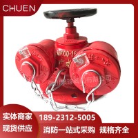 广东消防多用式水泵接合器DN150消防多功能水泵接合器sqs100-a150