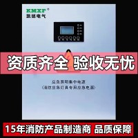 应急照明箱 集中电源 EPS应急电源 UPS 分配电源 巡检柜 直流屏